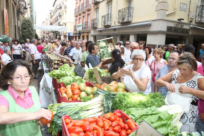 concurso-agricultura-4